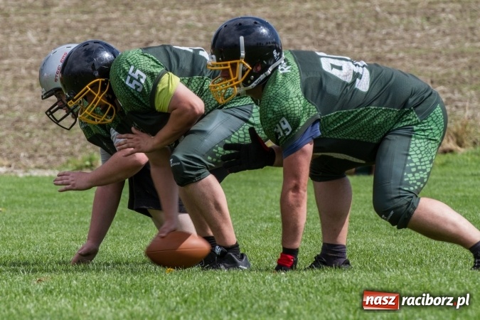 Zdjęcie w galerii na portalu naszraciborz.pl: RAPTORSI w dobrej formie przed turniejem PLFA 8. Dziś dali pokaz w Pietraszynie wiadomości z regionu