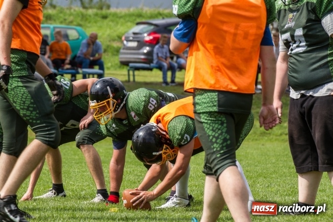 Zdjęcie w galerii na portalu naszraciborz.pl: RAPTORSI w dobrej formie przed turniejem PLFA 8. Dziś dali pokaz w Pietraszynie wiadomości z regionu
