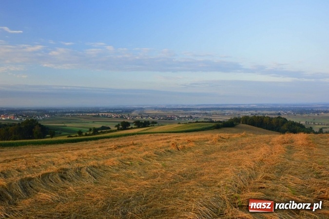 Zdjęcie w galerii na portalu naszraciborz.pl: Jak piękna jest ziemia raciborska o poranku FOTO wiadomości z regionu