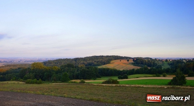 Zdjęcie w galerii na portalu naszraciborz.pl: Jak piękna jest ziemia raciborska o poranku FOTO wiadomości z regionu