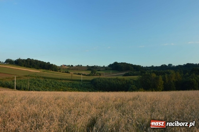 Zdjęcie w galerii na portalu naszraciborz.pl: Jak piękna jest ziemia raciborska o poranku FOTO wiadomości z regionu