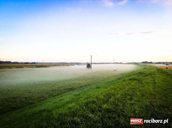 Zdjęcie w galerii na portalu naszraciborz.pl: Jak piękna jest ziemia raciborska o poranku FOTO wiadomości z regionu