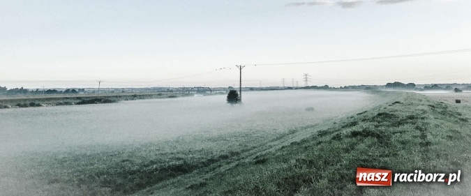 Zdjęcie w galerii na portalu naszraciborz.pl: Jak piękna jest ziemia raciborska o poranku FOTO wiadomości z regionu
