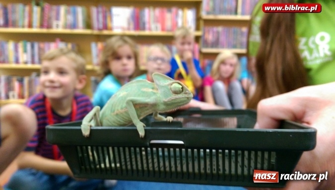 Zdjęcie w galerii na portalu naszraciborz.pl: Lato z biblioteką: Doktor Nieboli i papuga Polinezja  wiadomości z regionu