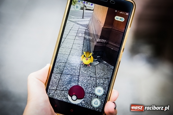 Zdjęcie w galerii na portalu naszraciborz.pl: Pokemony opanowały cały świat, dotarły r&oacute;wnież do Raciborza wiadomości z regionu
