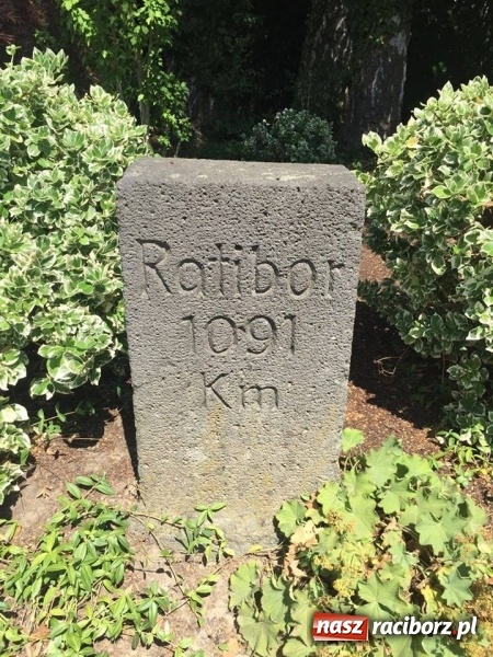 Zdjęcie w galerii na portalu naszraciborz.pl: Od zamku i piwa do apteki, czyli nazwa Ratibor w niemieckim krajobrazie wiadomości z regionu