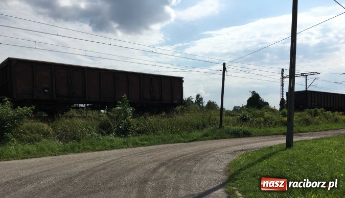 Zdjęcie w galerii na portalu naszraciborz.pl: Niecodzienne zdarzenie na linii kolejowej Racibórz-Markowice wiadomości z regionu