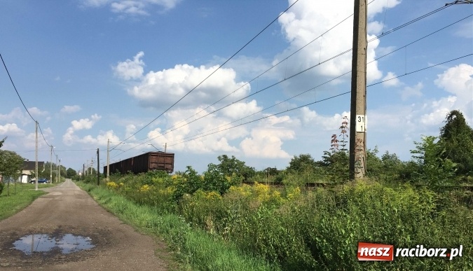 Zdjęcie w galerii na portalu naszraciborz.pl: Niecodzienne zdarzenie na linii kolejowej Racibórz-Markowice wiadomości z regionu