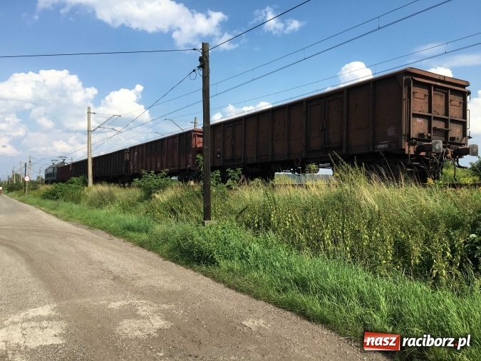 Zdjęcie w galerii na portalu naszraciborz.pl: Niecodzienne zdarzenie na linii kolejowej Racibórz-Markowice wiadomości z regionu