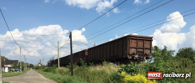 Zdjęcie w galerii na portalu naszraciborz.pl: Niecodzienne zdarzenie na linii kolejowej Racibórz-Markowice wiadomości z regionu