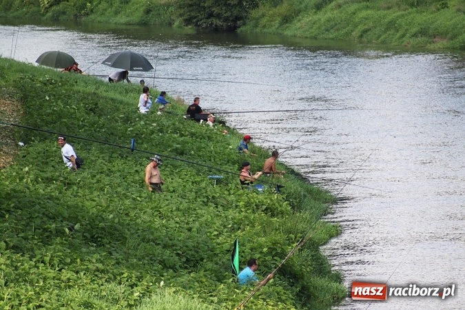 Zdjęcie w galerii na portalu naszraciborz.pl: III Memoriałowe zawody wędkarskie na Odrze wiadomości z regionu