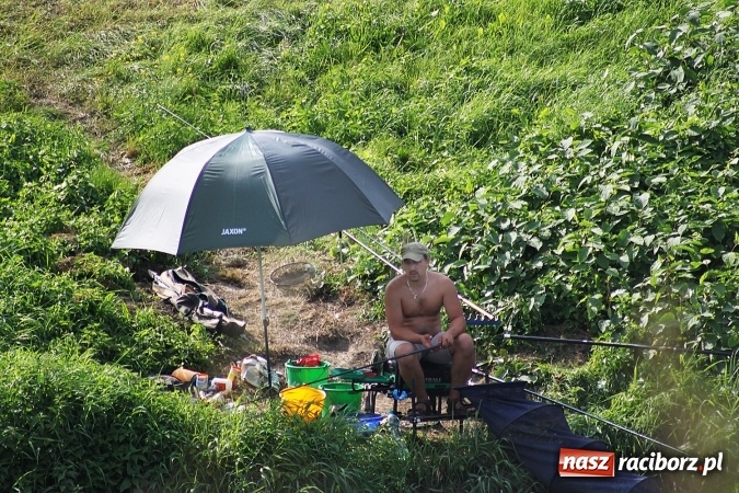 Zdjęcie w galerii na portalu naszraciborz.pl: III Memoriałowe zawody wędkarskie na Odrze wiadomości z regionu