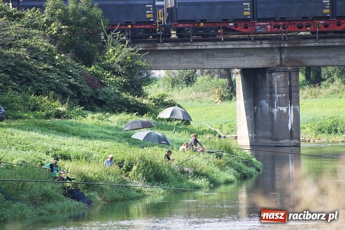 Zdjęcie w galerii na portalu naszraciborz.pl: III Memoriałowe zawody wędkarskie na Odrze wiadomości z regionu
