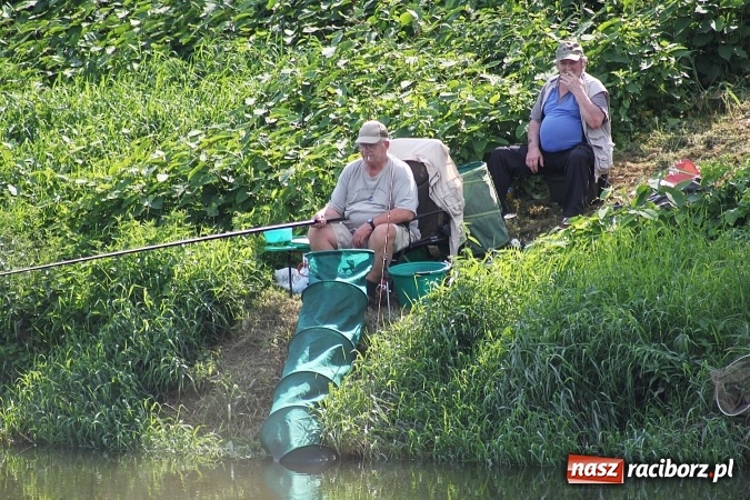 Zdjęcie w galerii na portalu naszraciborz.pl: III Memoriałowe zawody wędkarskie na Odrze wiadomości z regionu
