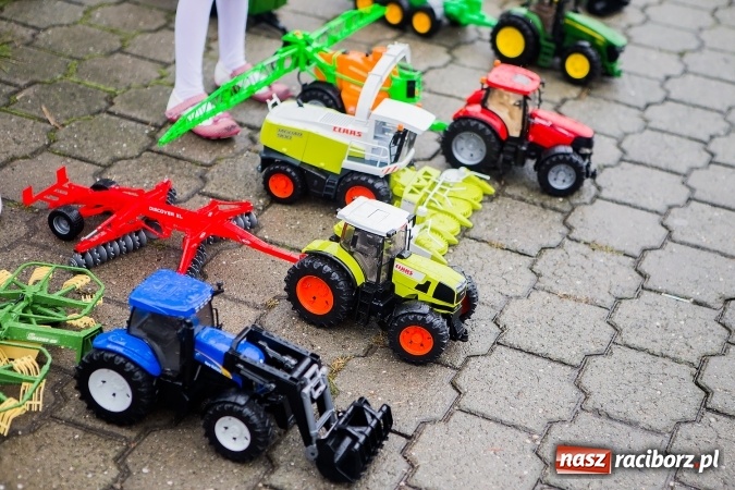 Zdjęcie w galerii na portalu naszraciborz.pl: Dożynki parafialne w Bolesławiu wiadomości z regionu