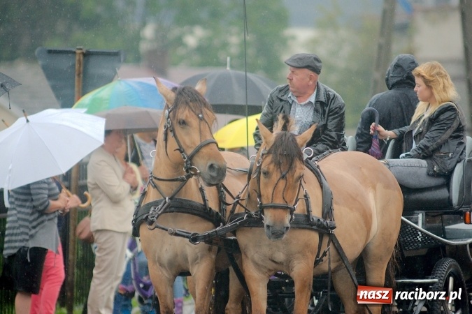 Zdjęcie w galerii na portalu naszraciborz.pl: Parafialne święto plonów w Modzurowie wiadomości z regionu