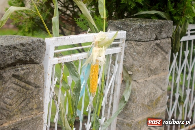 Zdjęcie w galerii na portalu naszraciborz.pl: Parafialne święto plonów w Modzurowie wiadomości z regionu