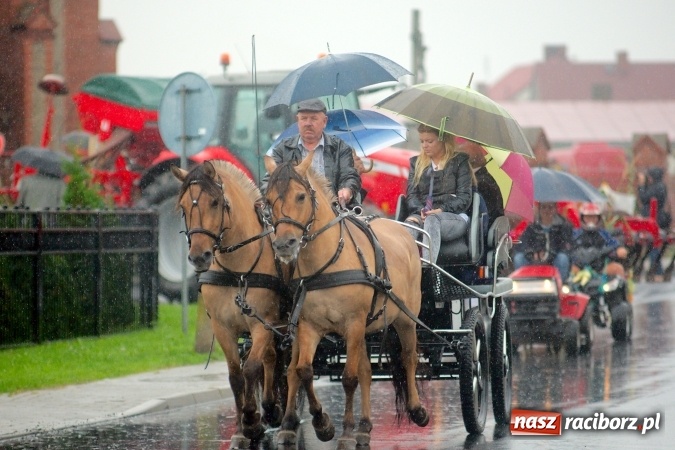 Zdjęcie w galerii na portalu naszraciborz.pl: Parafialne święto plonów w Modzurowie wiadomości z regionu