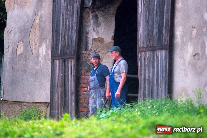 Zdjęcie w galerii na portalu naszraciborz.pl: Parafialne święto plonów w Modzurowie wiadomości z regionu