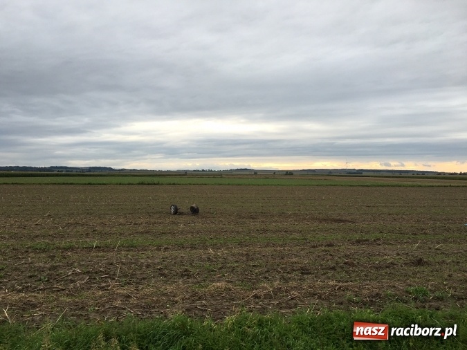 Zdjęcie w galerii na portalu naszraciborz.pl: 45-latek z passata wyprzedzał na łuku drogi. To doprowadziło do czołowego zderzenia wiadomości z regionu