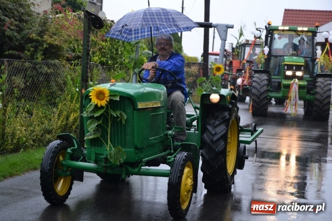 Zdjęcie w galerii na portalu naszraciborz.pl: Piratki z Karaibów na dożynkach w Roszkowie wiadomości z regionu