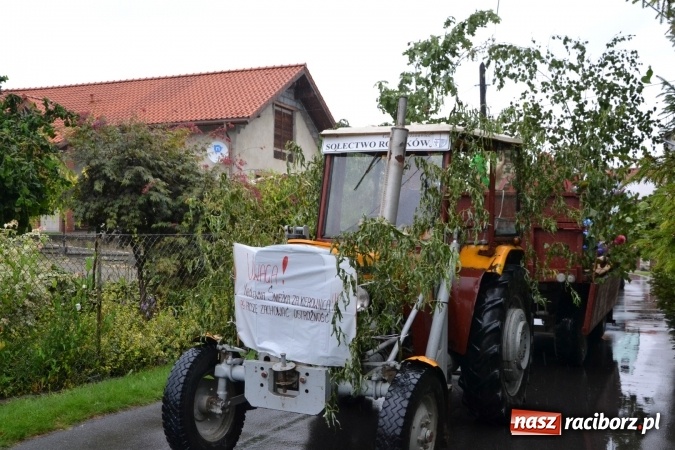 Zdjęcie w galerii na portalu naszraciborz.pl: Piratki z Karaibów na dożynkach w Roszkowie wiadomości z regionu