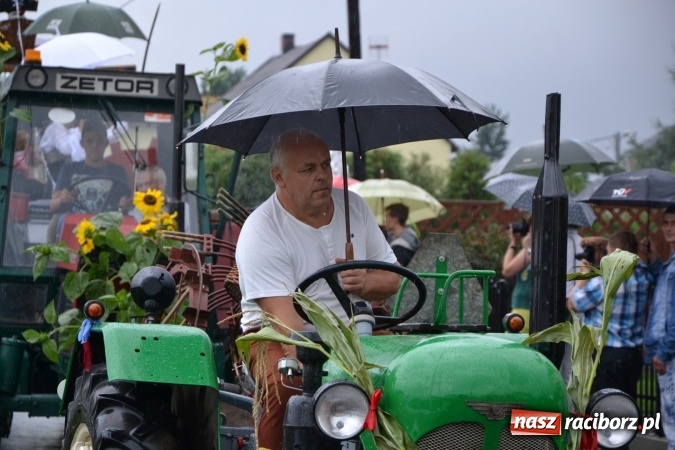 Zdjęcie w galerii na portalu naszraciborz.pl: Piratki z Karaibów na dożynkach w Roszkowie wiadomości z regionu
