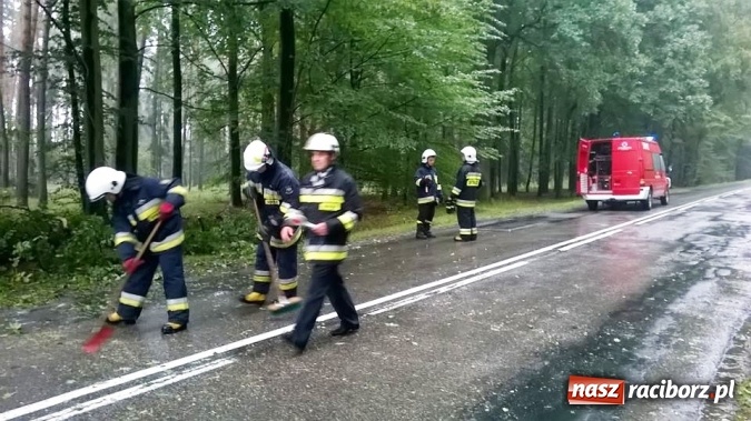 Zdjęcie w galerii na portalu naszraciborz.pl: Pracowity weekend strażaków - powalone drzewa, pożary, próba samobójcza wiadomości z regionu