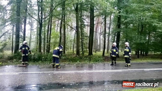 Zdjęcie w galerii na portalu naszraciborz.pl: Pracowity weekend strażaków - powalone drzewa, pożary, próba samobójcza wiadomości z regionu