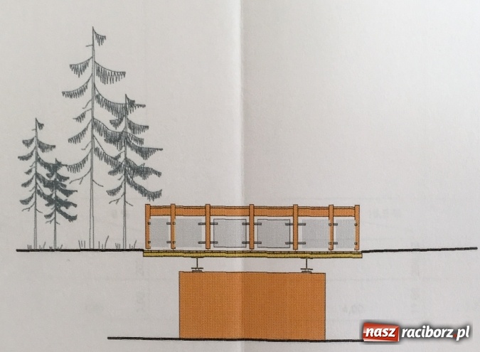 Zdjęcie w galerii na portalu naszraciborz.pl: Platforma widokowa i zielona klasa – ambitny projekt dla Arboretum Bramy Morawskiej w Raciborzu wiadomości z regionu