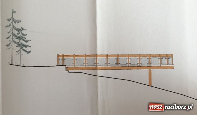 Zdjęcie w galerii na portalu naszraciborz.pl: Platforma widokowa i zielona klasa – ambitny projekt dla Arboretum Bramy Morawskiej w Raciborzu wiadomości z regionu