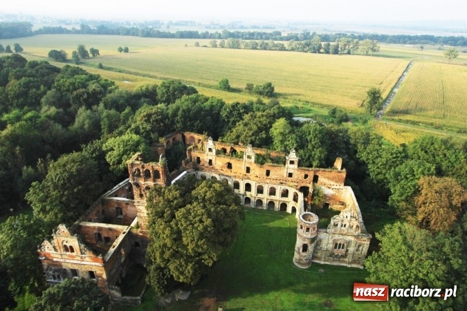 Zdjęcie w galerii na portalu naszraciborz.pl: Na ruinach zamku w Tworkowie prowadzone są prace zabezpieczające i konserwatorskie  wiadomości z regionu