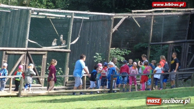 Zdjęcie w galerii na portalu naszraciborz.pl: Uczestnicy Lata z biblioteką na wycieczce w Ustroniu  wiadomości z regionu