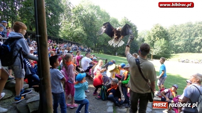 Zdjęcie w galerii na portalu naszraciborz.pl: Uczestnicy Lata z biblioteką na wycieczce w Ustroniu  wiadomości z regionu
