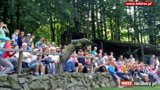 Zdjęcie w galerii na portalu naszraciborz.pl: Uczestnicy Lata z biblioteką na wycieczce w Ustroniu  wiadomości z regionu