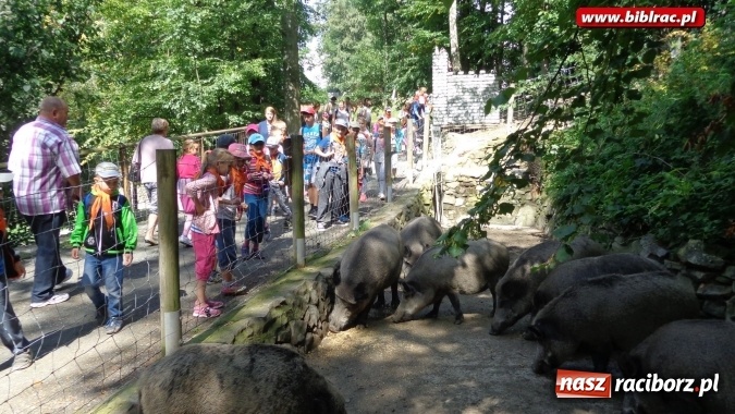 Zdjęcie w galerii na portalu naszraciborz.pl: Uczestnicy Lata z biblioteką na wycieczce w Ustroniu  wiadomości z regionu