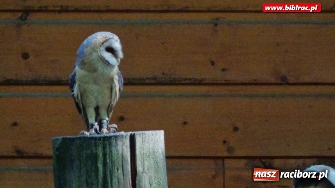 Zdjęcie w galerii na portalu naszraciborz.pl: Uczestnicy Lata z biblioteką na wycieczce w Ustroniu  wiadomości z regionu