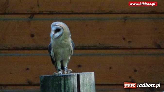 Zdjęcie w galerii na portalu naszraciborz.pl: Uczestnicy Lata z biblioteką na wycieczce w Ustroniu  wiadomości z regionu