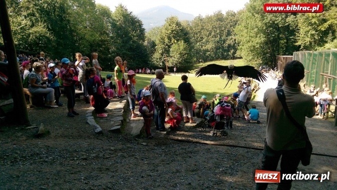 Zdjęcie w galerii na portalu naszraciborz.pl: Uczestnicy Lata z biblioteką na wycieczce w Ustroniu  wiadomości z regionu