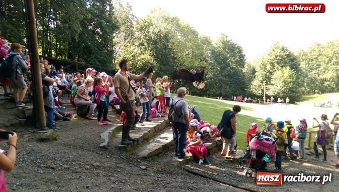 Zdjęcie w galerii na portalu naszraciborz.pl: Uczestnicy Lata z biblioteką na wycieczce w Ustroniu  wiadomości z regionu