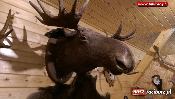 Zdjęcie w galerii na portalu naszraciborz.pl: Uczestnicy Lata z biblioteką na wycieczce w Ustroniu  wiadomości z regionu