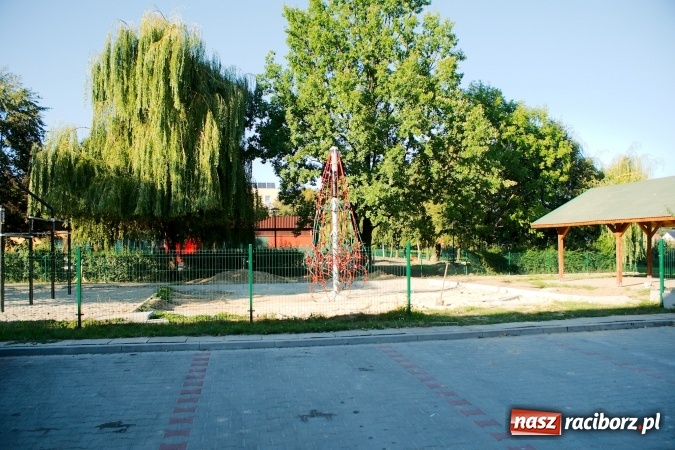 Zdjęcie w galerii na portalu naszraciborz.pl: Powstała pierwsza piramida wspinaczkowa w Raciborzu wiadomości z regionu