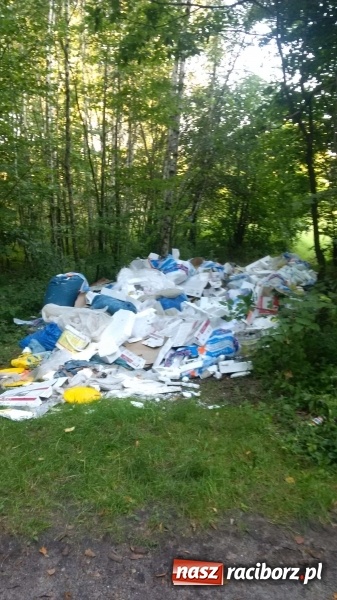 Zdjęcie w galerii na portalu naszraciborz.pl: To nieprawdopodobne, co odkryto w Arboretum Bramy Morawskiej, czyli lesie Obora! Pomóż namierzyć sprawcę! wiadomości z regionu