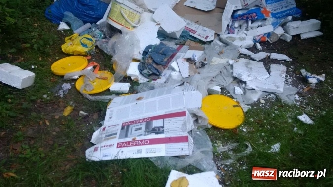 Zdjęcie w galerii na portalu naszraciborz.pl: To nieprawdopodobne, co odkryto w Arboretum Bramy Morawskiej, czyli lesie Obora! Pomóż namierzyć sprawcę! wiadomości z regionu