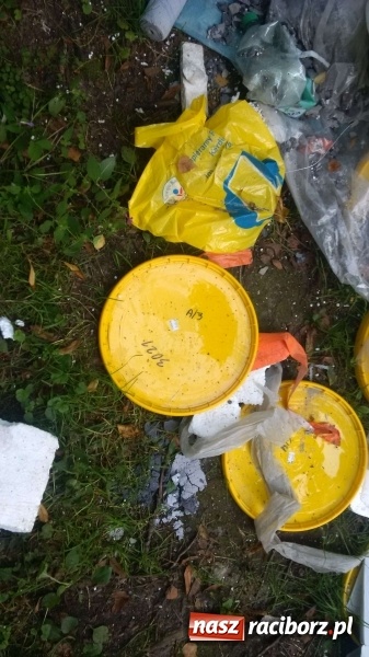 Zdjęcie w galerii na portalu naszraciborz.pl: To nieprawdopodobne, co odkryto w Arboretum Bramy Morawskiej, czyli lesie Obora! Pomóż namierzyć sprawcę! wiadomości z regionu