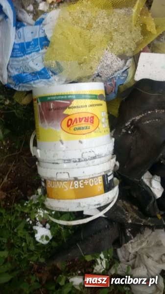 Zdjęcie w galerii na portalu naszraciborz.pl: To nieprawdopodobne, co odkryto w Arboretum Bramy Morawskiej, czyli lesie Obora! Pomóż namierzyć sprawcę! wiadomości z regionu