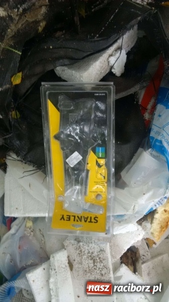 Zdjęcie w galerii na portalu naszraciborz.pl: To nieprawdopodobne, co odkryto w Arboretum Bramy Morawskiej, czyli lesie Obora! Pomóż namierzyć sprawcę! wiadomości z regionu