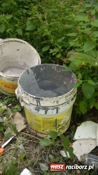 Zdjęcie w galerii na portalu naszraciborz.pl: To nieprawdopodobne, co odkryto w Arboretum Bramy Morawskiej, czyli lesie Obora! Pomóż namierzyć sprawcę! wiadomości z regionu