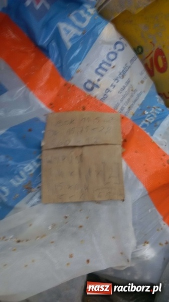 Zdjęcie w galerii na portalu naszraciborz.pl: To nieprawdopodobne, co odkryto w Arboretum Bramy Morawskiej, czyli lesie Obora! Pomóż namierzyć sprawcę! wiadomości z regionu