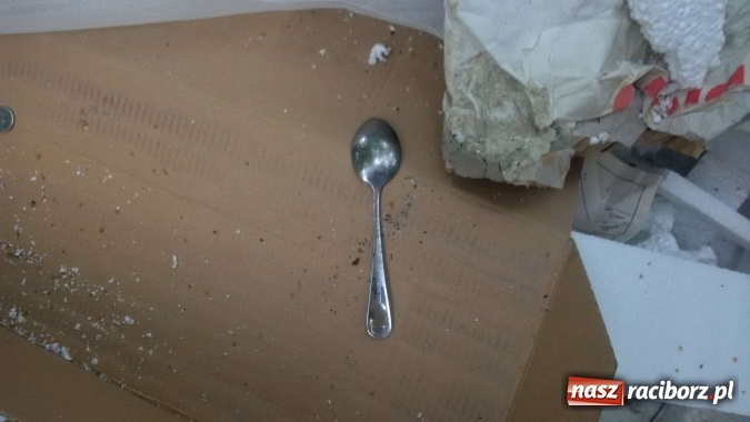 Zdjęcie w galerii na portalu naszraciborz.pl: To nieprawdopodobne, co odkryto w Arboretum Bramy Morawskiej, czyli lesie Obora! Pomóż namierzyć sprawcę! wiadomości z regionu